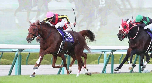 522キロで20年エリザベス女王杯を連覇したラッキーライラック