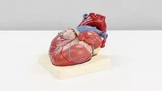 Los cardiólogos lo tienen claro: este deporte reduce el riesgo de infarto y protege las articulaciones